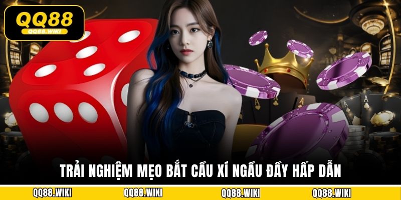 Trải nghiệm mẹo bắt cầu Xí ngầu đầy hấp dẫn